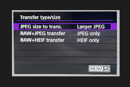 Transfer type settings