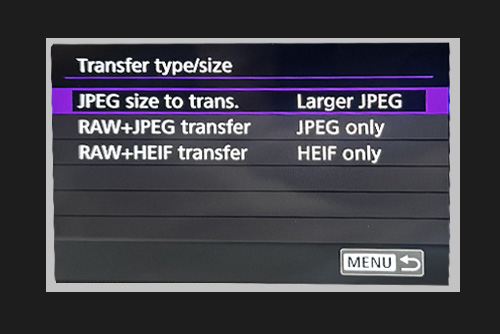 Transfer type settings